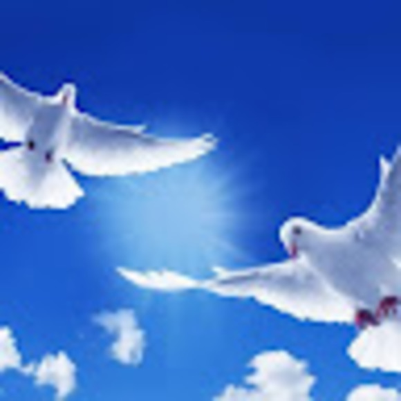 Meet your Posher, Glory to god - Picture 1 of 1